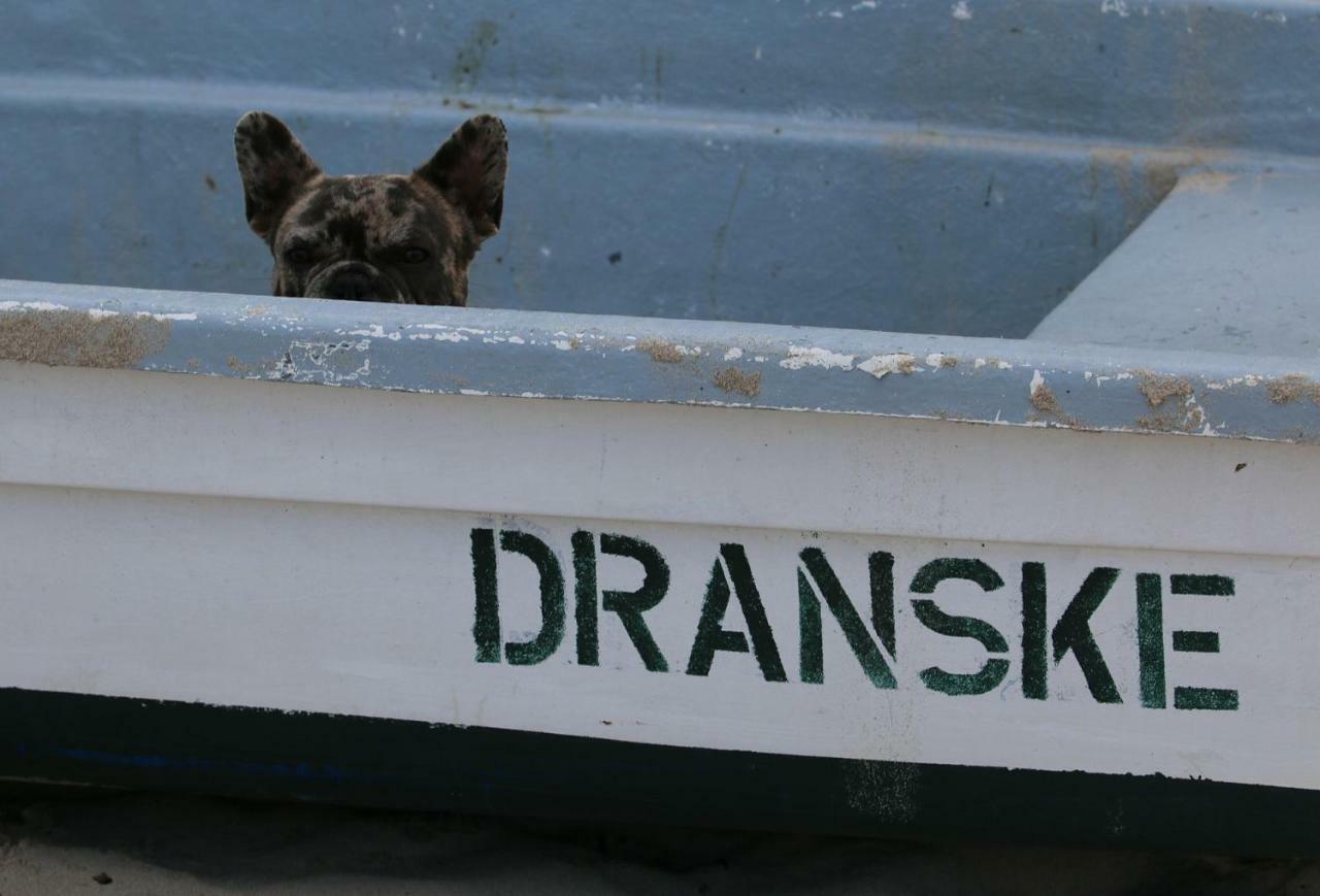 Ddr Kult Wohnwagen Direkt Am Strand Kreptitz Eksteriør bilde